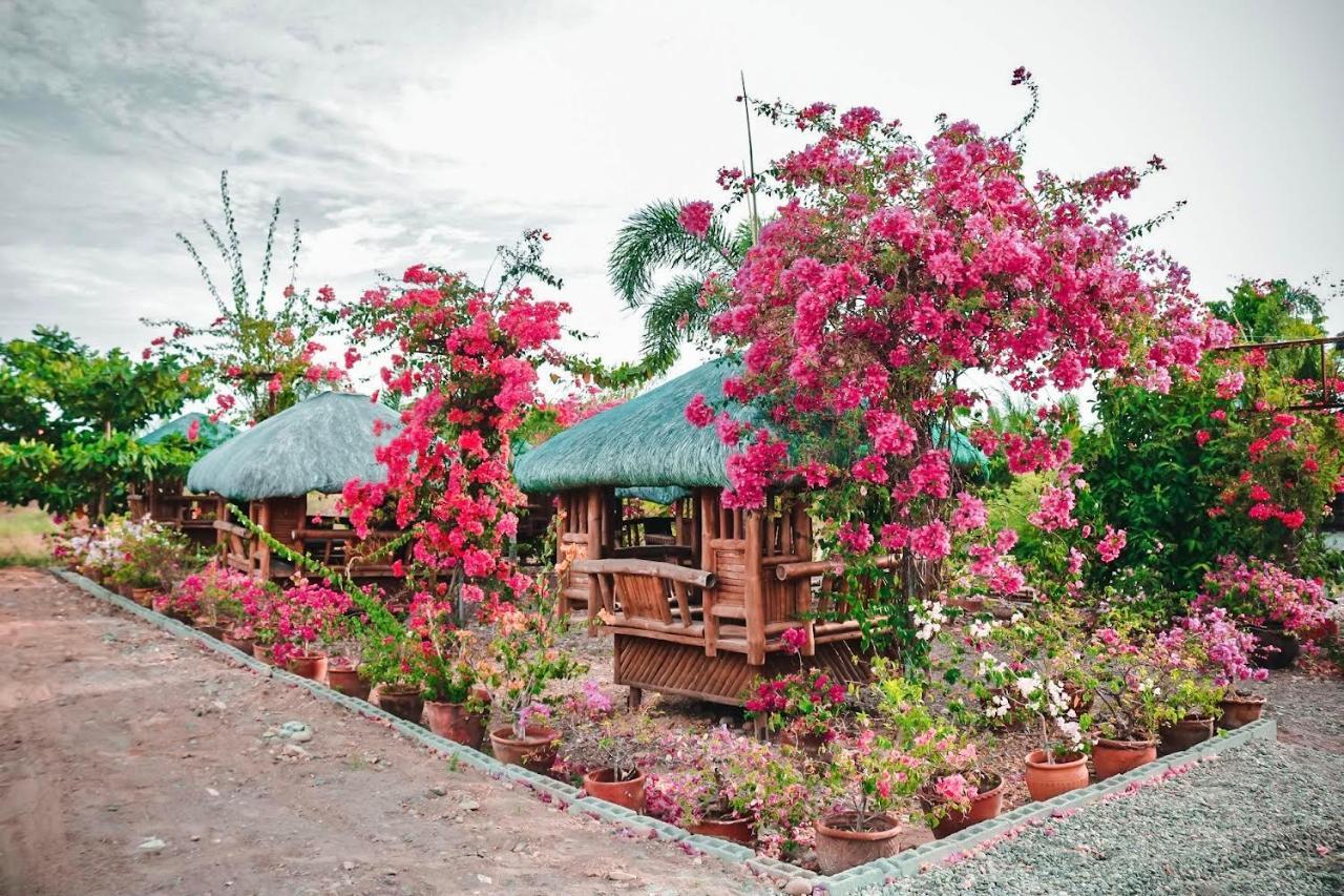 Airport View Hotel Vigan Exterior foto